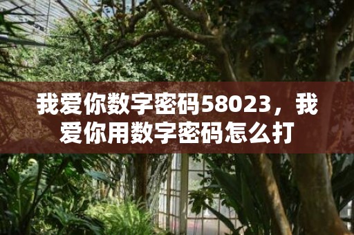 我爱你数字密码58023，我爱你用数字密码怎么打