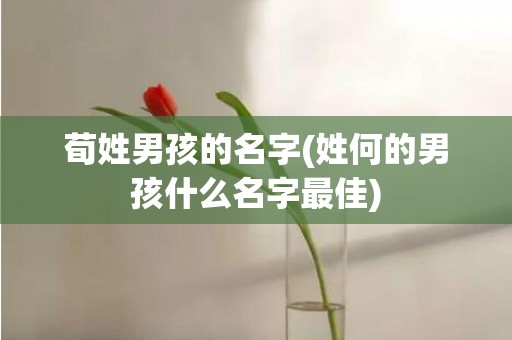 荀姓男孩的名字(姓何的男孩什么名字最佳)