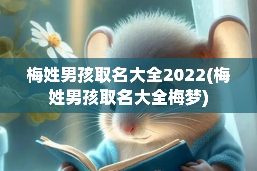 梅姓男孩取名大全2022(梅姓男孩取名大全梅梦)