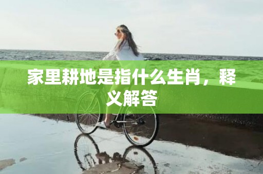 家里耕地是指什么生肖，释义解答