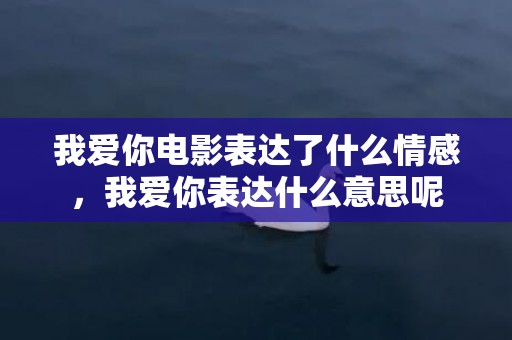 我爱你电影表达了什么情感，我爱你表达什么意思呢