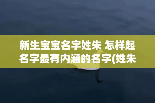 新生宝宝名字姓朱 怎样起名字最有内涵的名字(姓朱的龙宝宝取什么名字好)