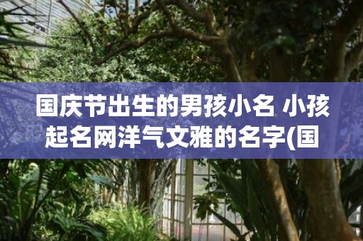 国庆节出生的男孩小名 小孩起名网洋气文雅的名字(国庆节出生的男孩命好不好)