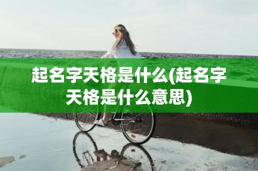 起名字天格是什么(起名字天格是什么意思)