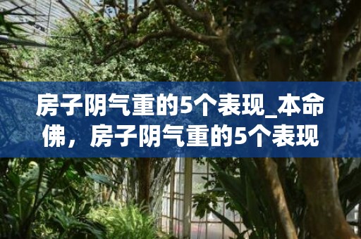 房子阴气重的5个表现_本命佛，房子阴气重的5个表现子陉