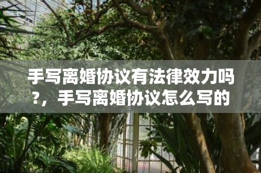 手写离婚协议有法律效力吗?，手写离婚协议怎么写的