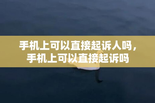 手机上可以直接起诉人吗，手机上可以直接起诉吗