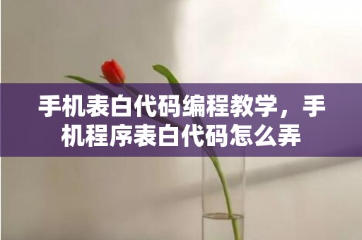 手机表白代码编程教学，手机程序表白代码怎么弄