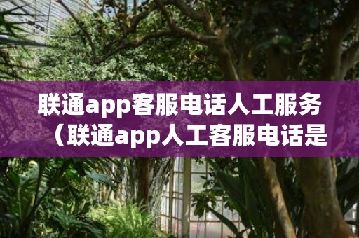 联通app客服电话人工服务（联通app人工客服电话是多少）