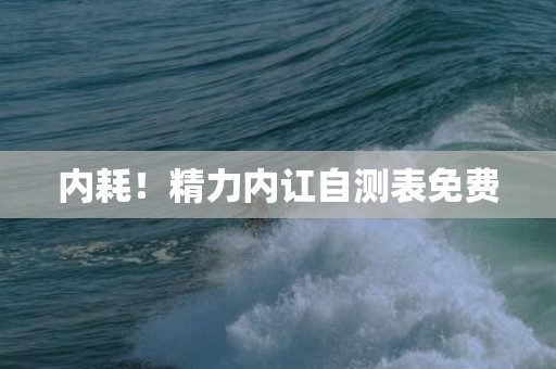 内耗！精力内讧自测表免费