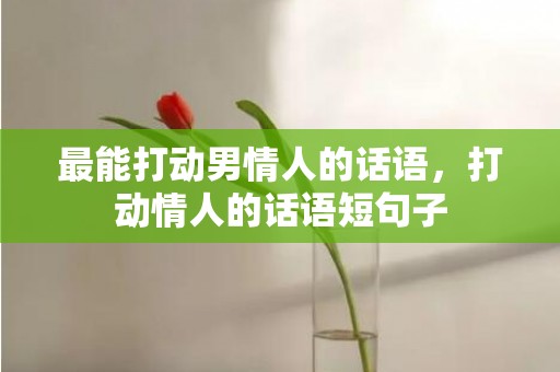 最能打动男情人的话语，打动情人的话语短句子