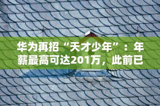 华为再招“天才少年”：年薪最高可达201万，此前已有7人拿过，去年曾有一人离职