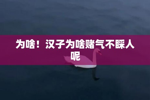 为啥！汉子为啥赌气不睬人呢