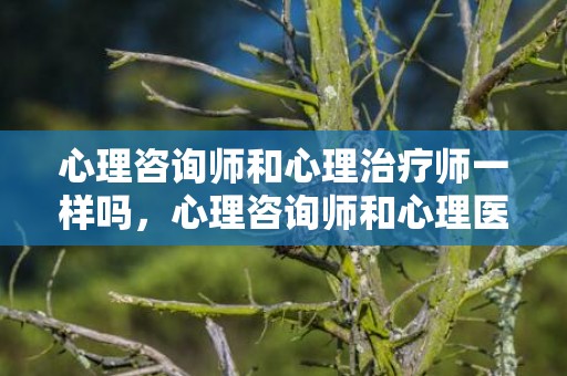 心理咨询师和心理治疗师一样吗，心理咨询师和心理医生区别，心理咨询师和心理治疗师区别