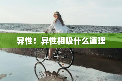 异性！异性相吸什么道理