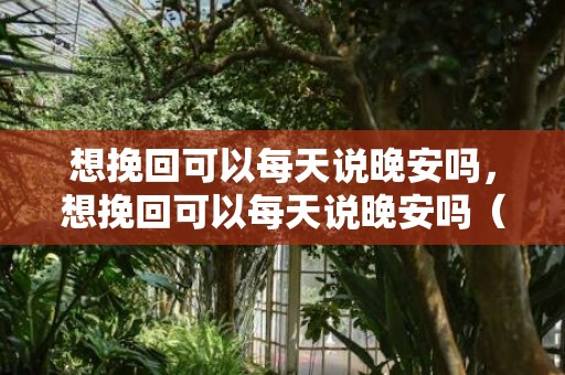 想挽回可以每天说晚安吗，想挽回可以每天说晚安吗（想挽回需要跟她每天说晚安嘛）