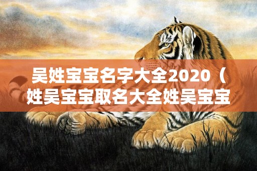 吴姓宝宝名字大全2020（姓吴宝宝取名大全姓吴宝宝取名大全男）