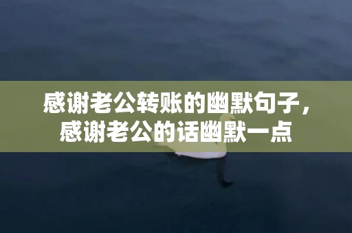 感谢老公转账的幽默句子，感谢老公的话幽默一点