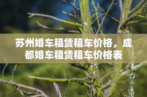 苏州婚车租赁租车价格，成都婚车租赁租车价格表