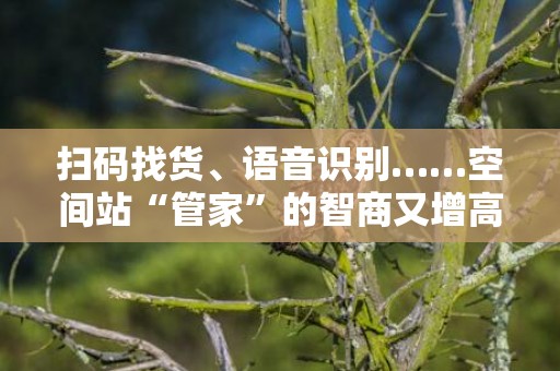 扫码找货、语音识别……空间站“管家”的智商又增高了