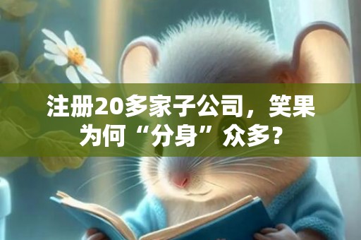 注册20多家子公司，笑果为何“分身”众多？