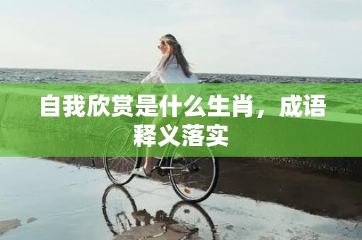 自我欣赏是什么生肖，成语释义落实