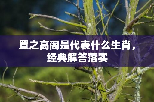 置之高阁是代表什么生肖，经典解答落实