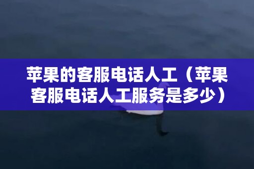 苹果的客服电话人工（苹果客服电话人工服务是多少）