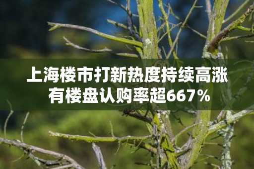 上海楼市打新热度持续高涨 有楼盘认购率超667%