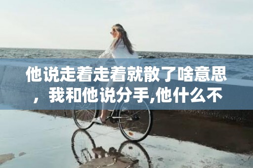 他说走着走着就散了啥意思，我和他说分手,他什么不说