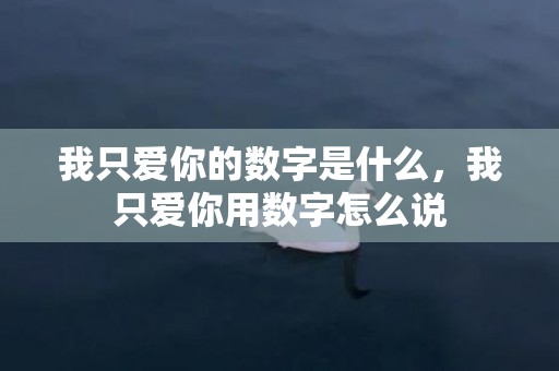 我只爱你的数字是什么，我只爱你用数字怎么说