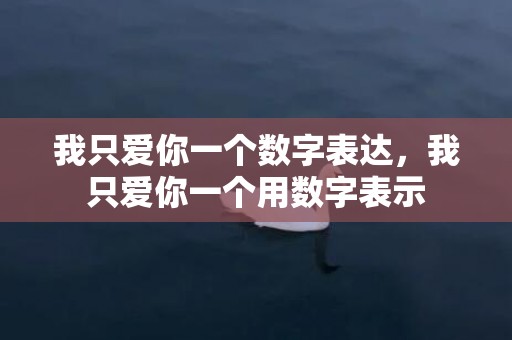 我只爱你一个数字表达，我只爱你一个用数字表示