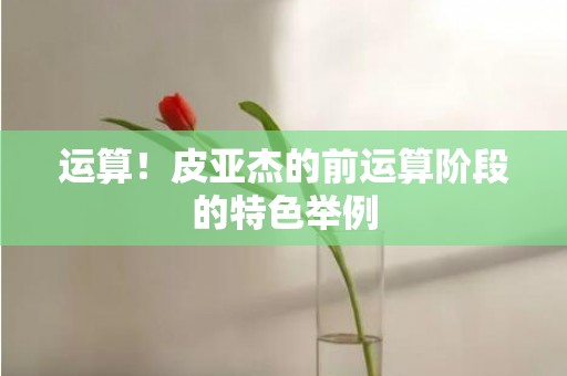 运算！皮亚杰的前运算阶段的特色举例