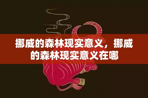 挪威的森林现实意义，挪威的森林现实意义在哪