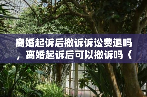 离婚起诉后撤诉诉讼费退吗，离婚起诉后可以撤诉吗（离婚起诉后可以撤诉吗怎么办）