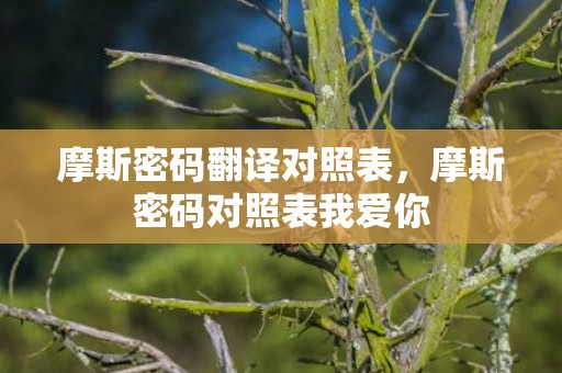 摩斯密码翻译对照表，摩斯密码对照表我爱你