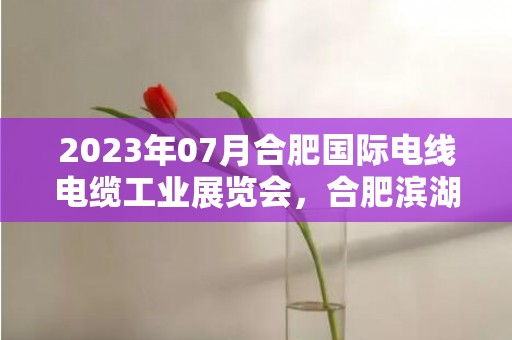 2023年07月合肥国际电线电缆工业展览会，合肥滨湖国际会展中心