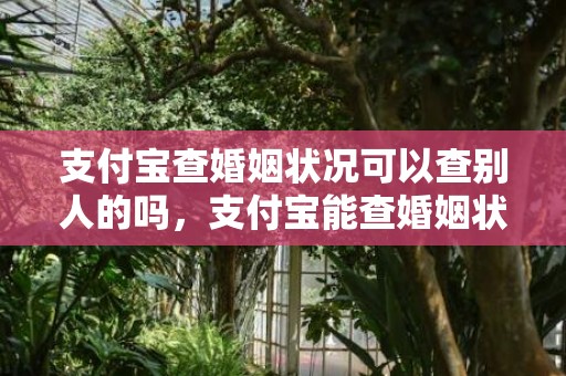 支付宝查婚姻状况可以查别人的吗，支付宝能查婚姻状态嘛