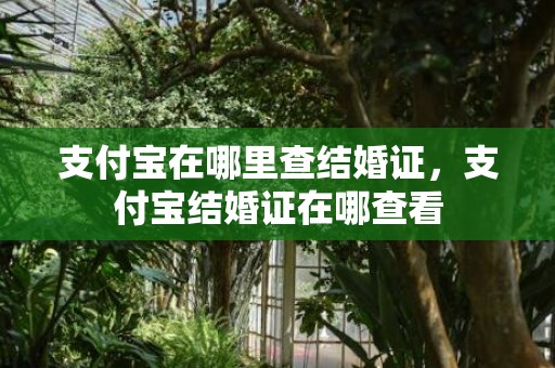 支付宝在哪里查结婚证，支付宝结婚证在哪查看