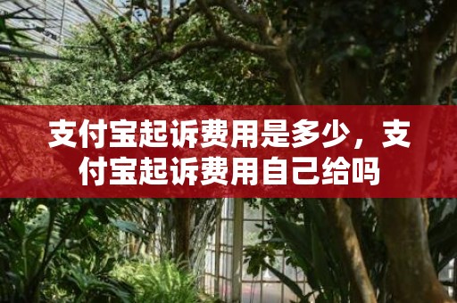 支付宝起诉费用是多少，支付宝起诉费用自己给吗