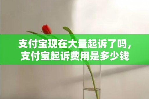 支付宝现在大量起诉了吗，支付宝起诉费用是多少钱