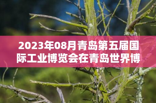 2023年08月青岛第五届国际工业博览会在青岛世界博览城举办