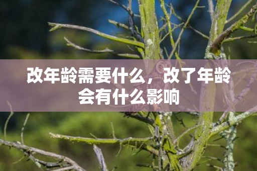 改年龄需要什么，改了年龄会有什么影响