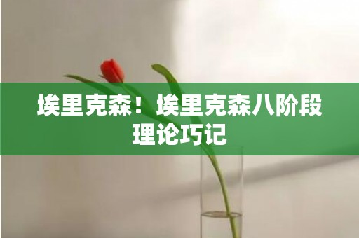 埃里克森！埃里克森八阶段理论巧记