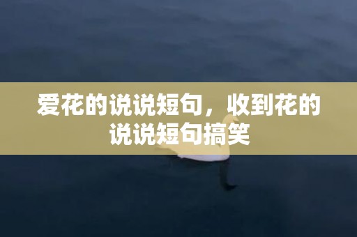 爱花的说说短句，收到花的说说短句搞笑