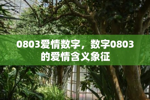 0803爱情数字，数字0803的爱情含义象征