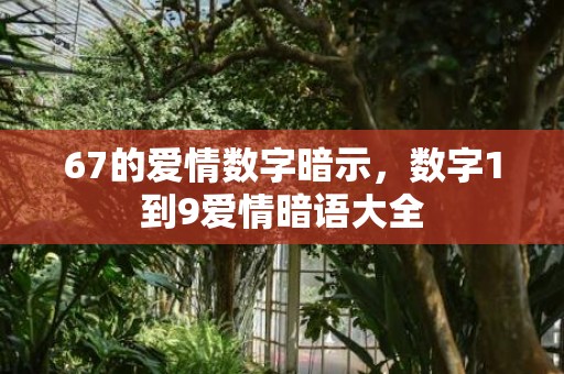 67的爱情数字暗示，数字1到9爱情暗语大全