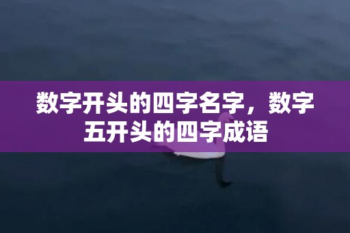 数字开头的四字名字，数字五开头的四字成语