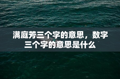 满庭芳三个字的意思，数字三个字的意思是什么