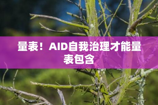 量表！AID自我治理才能量表包含